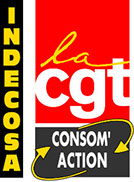 Logo Indecosa CGT